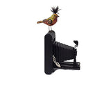 Mullanium - Steampunk Inspired Sculpture - Inspired Bird On A Camera
