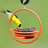 Couronne - Hummble Bold Bird Feeder - Orange