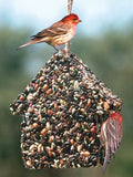 GC - Pine Tree Farms - Edible Birdie Chalet, 1.75 Pounds
