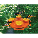 GC - Songbird Essentials - Ultimate Oriole Feeder