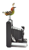 Mullanium - Steampunk Inspired Sculpture - Multi-Colored Bird on Camera