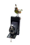 Mullanium - Steampunk Inspired Sculpture - Multi-Colored Bird on Camera
