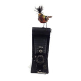 Mullanium - Steampunk Inspired Sculpture - Inspired Bird On A Camera