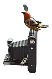 Mullanium - Steampunk Inspired Sculpture - Multi-Colored Bird on Camera
