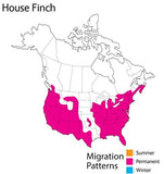 Wild Republic - Audubon - House Finch