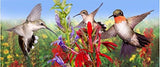 Arundale - Jim Rathert - 11oz. Mug - Ruby-throated Hummingbirds