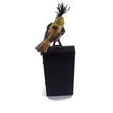 Mullanium - Steampunk Inspired Sculpture - Inspired Bird On A Camera