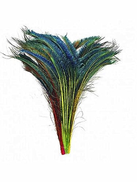 Zucker Feather - 10 Bright Neon Dyed Peacock Sword Feathers