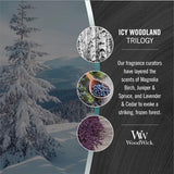 WoodWick - Trilogy Large 21.5 Oz. Candle - Icy Woodland