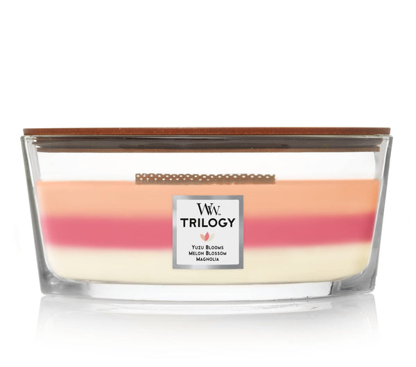 WoodWick - Ellipse Trilogy Candle 16oz. - Blooming Orchard