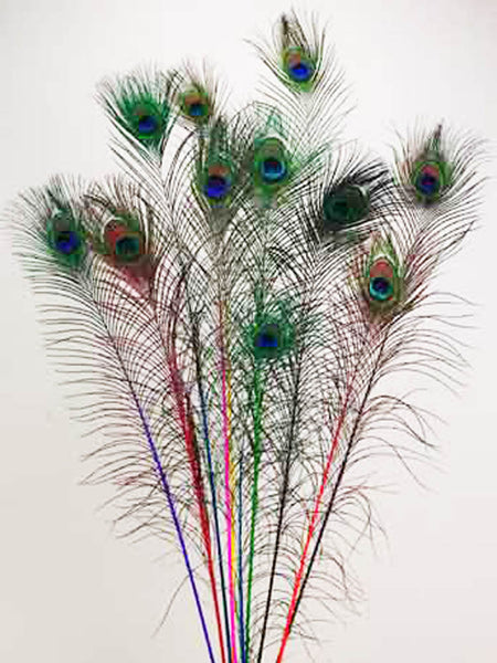 Zucker Feather - 10 Bright Peacock Eye Feathers