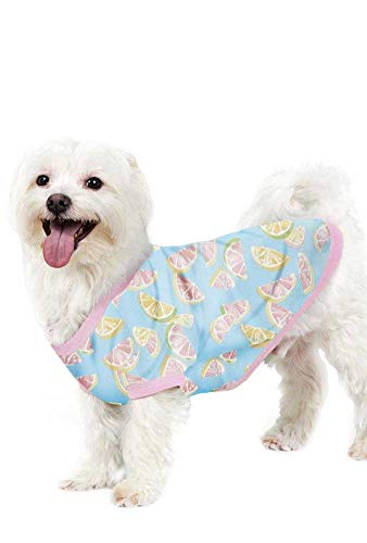 BedHead - Stretch Lounge Dog PJ - Citrus - XSmall