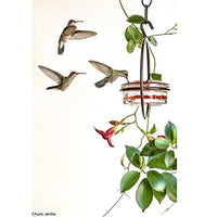 Couronne - Hummble Slim Hummingbird Feeder - Red