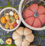 Boston International Decorative Tabletop Velvet Pumpkins, 2-Inches