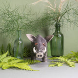 Hannah Turner - Money Bank - Wild Boar
