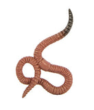 Safari Ltd. - Life Cycle of a Worm