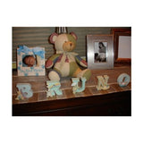 Child To Cherish - Animal Alphabet Letter - "A"