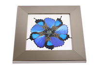 Eydelia - Butterfly Wing Wall Art - Flower - Aqua & Blue
