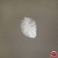 Zucker Feather Products Ostrich Feather Drabs - 4-8" - Ivory