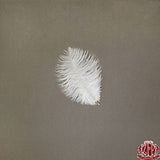 Zucker Feather Products Ostrich Feather Drabs - 4-8" - Ivory