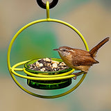Couronne - Hummble Bold Bird Feeder - Lime