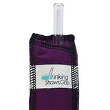 Drinking Straws.Glass - Glass Straw Set - 9.5mm x 8" - Purple Case