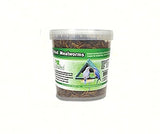 GC - Songbird Essentials - Dried Meal Worms - 7 oz. Tub