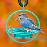 Couronne - Hummble Bold Bird Feeder - Aqua