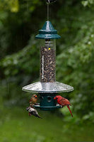 GC - Brome Bird Care - Squirrel Buster Plus - Weatherguard Feeder Attachment