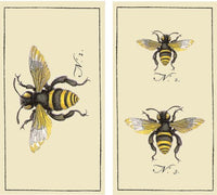 HomArt - Match Box Set Of 2 - Bee