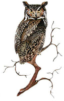 Bovano - Wall Sculpture - Great Horned Owl On Branch