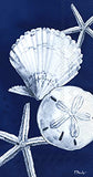 Boston International - Paper Guest Towel 16 Count - Dark Sea