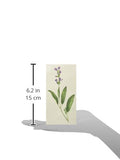 Tattly Temporary Tattoos Scented Sage
