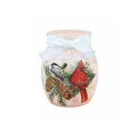 Stony Creek - 4" Frosted Lighted Jar w/ Ribbon - Birds of Winter