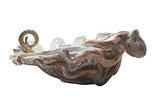 Shayne Greco - Giant Clam Bowl with Octopus - White