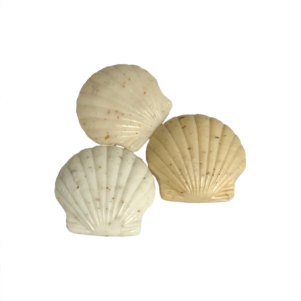 Greenwich Bay - 3.75 oz. Seashell Scented Shea Butter Soap - Beach Sands Collection