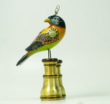 Mullanium - Steampunk Inspired Sculpture - Silver Ear Mesia on Binoculars
