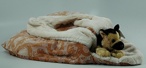 Jack Rocketwear - Buggle Brats Pet Carrier - Camel Paisley