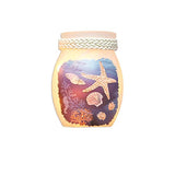 Stony Creek - 3" Lighted Vase - High Tide - Seashells