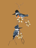 Bovano - Wall Sculpture - Male & Female Kingfisher