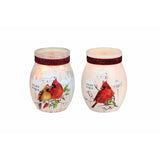 Stony Creek - 4" Frosted Glass Lighted Jar w/ Ribbon - Cardinal Birdhouses