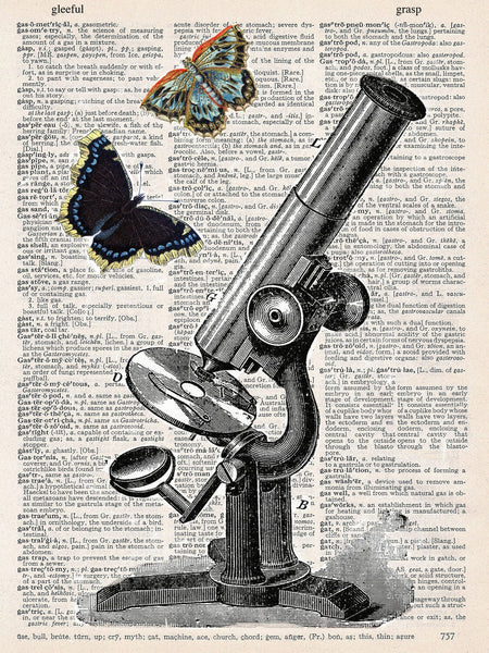 ArtNWordz -  Vintage Recycled Dictionary Print - Butterfly Microscope