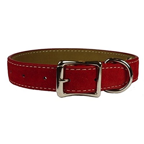 Auburn Leather - Saratoga Suede Dog Collar - 6"-8" Red