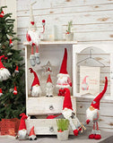 Boston International - Dangling Leg Gnome - Tibbles