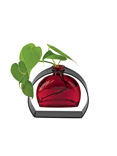 Couronne - Fiji Glass Vase with Arched Stand - Red