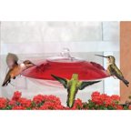 GC - Droll Yankee - Window Hummingbird Feeder