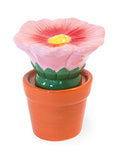 Boston International - Salt & Pepper Set - Flower Pot