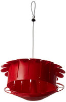 GC - HummBug - Hummingbird Feeder - Protein Feeder