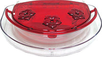 GC - Aspects - Jewel Box Window Hummingbird Feeder