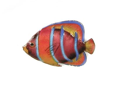 Bovano - Wall Sculpture - King Angelfish w/ Purple & Orange Stripes